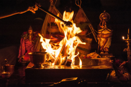 pitra dosh homam cost